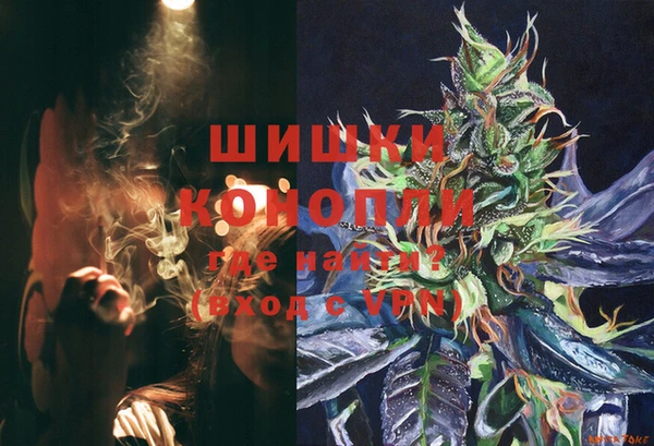 твердый Арсеньев