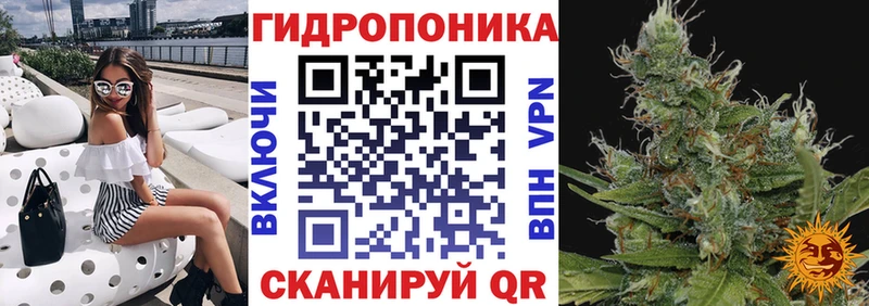 Бошки марихуана марихуана  Оса 
